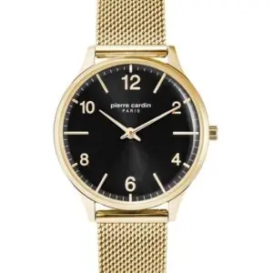تصویر اصلی ساعت مچی زنانه اصل پیرکاردین (pierre-cardin) مدل PC902722F106